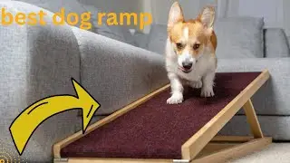 Top 5 best dog ramp 2024