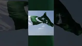 14 august WhatsApp status download | Pakistan flag animation | independence day status 2021 #shorts