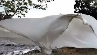 Old sail in wind 02