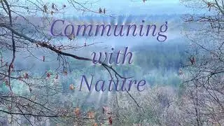 Communing with Nature - Ananda Village