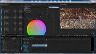 Color Correction Lesson  - Adobe Premiere Pro CC 2014 - Easy Method