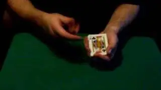 The Chicago Opener
