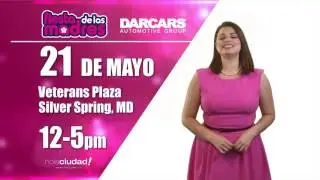 FDM17 Darcars