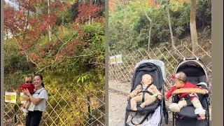 Babies first maple leaf 🍁 #outing #nature 