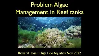 Cocktails & Coral Talk feat. Richard Ross