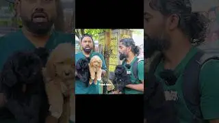 Pet Lovers Must Visit This Market 🐶 | Broadway Pet Market 2026 #prankbabu #pets #shorts #2026