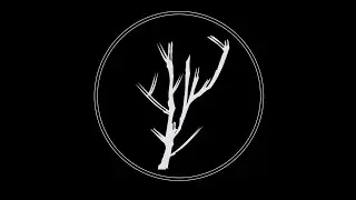 NOIZY WOOD interview.   FASHION BRAND dall'ANIMA INDIE, NEW WAVE e CYBERPUNK