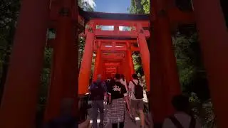 Walking Through 10,000 Torii Gates at Fushimi Inari  ⛩️, Kyoto, Japan