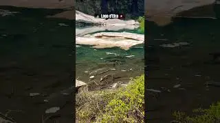 Escursione al lago d&rsquo;Efra 20/07/2024  #trekking #hiking #svizzera