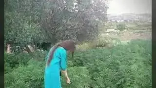 Jomsi