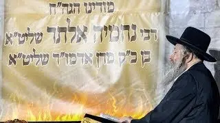 (9452) Morainu Reb Nechemia Alter shlyt