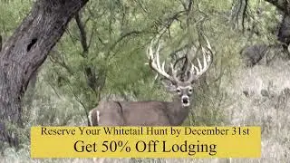 Three Amigos | Texas Trophy Whitetail Hunts