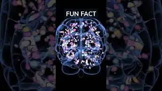 Speed Of The Subconscious Mind #shorts
