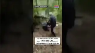 Nature Punishes Humans, Viral Video Stuns Netizens | Viral Video | #shorts