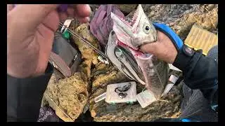 Ajman al zorah  fishing