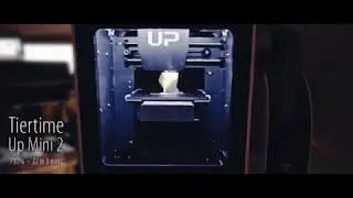 Tiertime Up Mini 2 - 22 mins Timelapse - 3D Printing