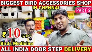₹10 ரூபாய் முதல் Birds Accessories & Imported Cages | Biggest Wholesale Dealer in India | Sai Birds