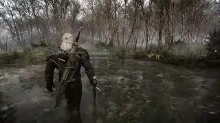 The Beauty of The Witcher 3