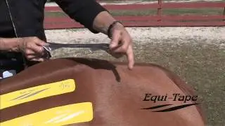 Equi-Taping Kinesiology Training and Rehab Overview
