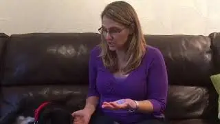 Instructions for taking a mould of your dog's nose
