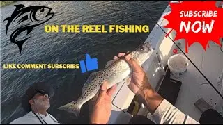 Sheepshead fishing with oysters suck....  Fidler crabs all day.  #fishing #trout #merrychristmas
