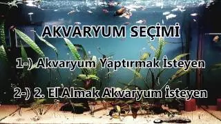 Akvaryum Seçimi (Part 1)