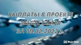 Выплаты в Magic Chain за 9 февраля 2022 года у нас зарабатывают все без исключения