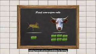 Novel foods: What are the ingredients of the future?
