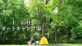 【群馬県】新緑の森でハイボールを頂くソロキャンプ