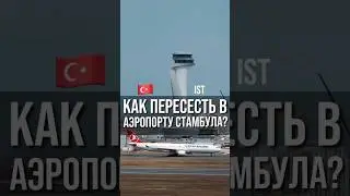 Пересадка в новом аэропорту Стамбула (IST) #шортс шортс #shorts shorts #стамбул #аэропорт #турция