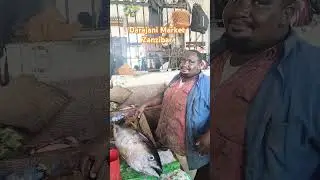 Meet Bonge, he sells the biggest fish in Darajani Market Zanzibar