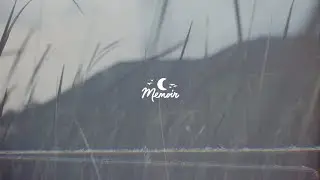 Bitter Blossom & another silent weekend - Sun Petal - relaxing ambient, lofi beats & indie chill 🌙