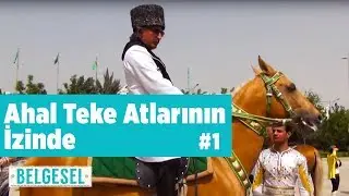 Belgesel - Ahal Teke Atlarının İzininde 1 - Yaban Tv