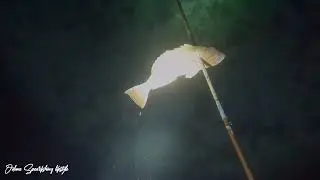 late night fishing hunting for food in jamaica