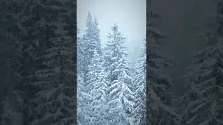 Bucovina Rom&acirc;nia sub un Strat Gros de Zăpadă | Filmare Uimitoare cu Drona Iarna ❄️ #snow #shorts