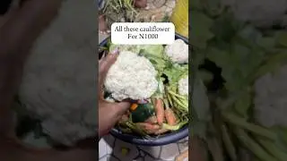 Fresh vegetables from North Nigeria 🇳🇬 #vegetables #viralvideo #nigeria #foodie #freshvegetables