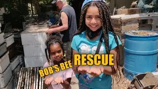 Waters Family Visiting Bob's Bee Farm & Swarm Rescue