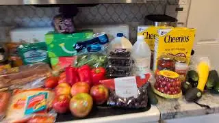 Healthy Budget Grocery Haul