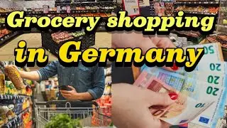 Shopping vlog in Germany #Grocery Food haul with prices #Grocery shopping at Lidl and Aldi 🇩🇪