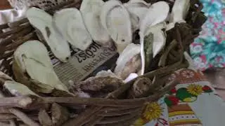 Decoração com Casca de Ostra é balaio de cipó
