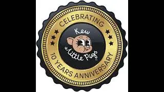 Pig Pen LIVE - See the Piglets