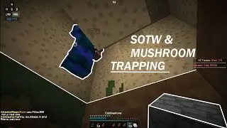 HCTeams - SOTW & TRAPPING WITH MUSHROOM TRAP!!