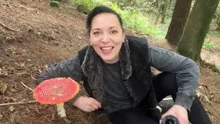 Mushrooms
