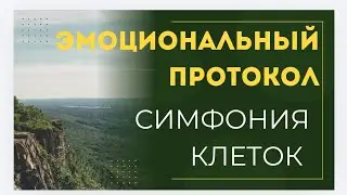 СИМФОНИЯ КЛЕТОК/ ЭМОЦИОНАЛЬНЫЙ ПРОТОКОЛ 