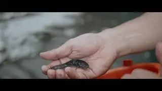 BUDIDAYA IKAN LELE BY JULAKAN TEASER 1 #BUDIDAYAMUDAHDARIRUMAH