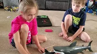 Getting ready for Shark Week! Kids playtime with sharks.