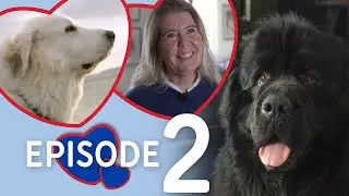 Anton - Veien til kjærligheten | Episode 2 - Matmor Monica | VETIVO fra REMA 1000