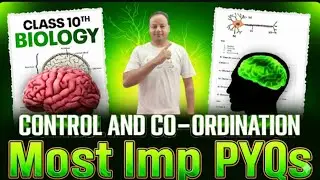 Class 10 Biology | Control and Coordination | Most Important PYQs 2025| MicroX with Shamim Sir#cbse