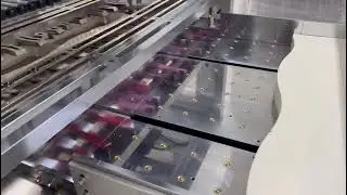 DAKIOU-PY HS roll die cutting and stripping machine