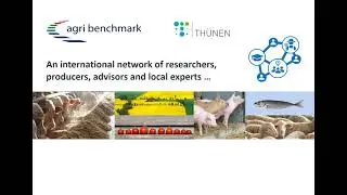 agri benchmark - What we do